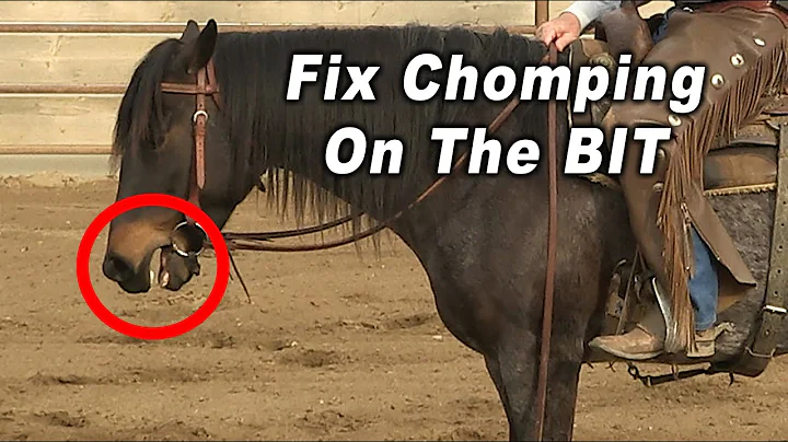 Horse CHOMPING On The BIT and How To Fix It - Hors...