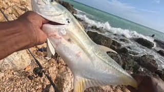 Another day another big catch