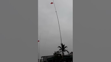 Nêu ông công , ông táo 2019