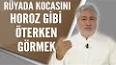 Видео по запросу "rüyada horoz görmek"