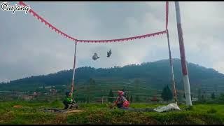 story wa merpati kolong