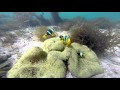 Treasure Island Fiji - YouTube