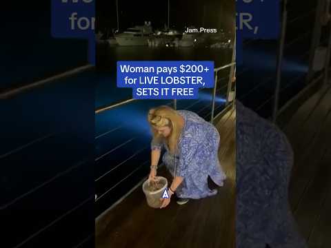 A woman PAID OVER $200 for a live LOBSTER at a restaurant so she could set it frer #shorts #kind