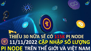 [Cập nhập] Pi Node trên toàn thế giới và tại Việt Nam 11/11/22  #pi #pinode #pinetwork #picoin
