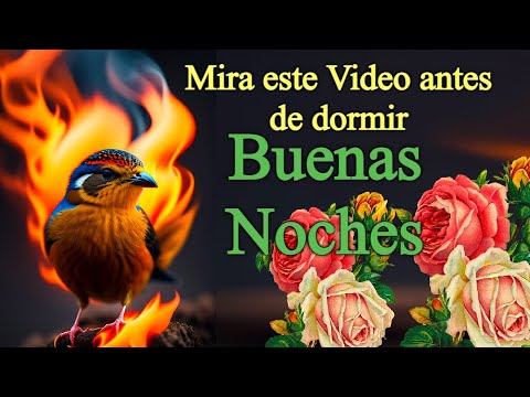 MENSAJE DE BUENAS NOCHES Video corto y bonito, reflexión, frases de buenas noches, ABRELO