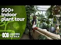 Huge 500 indoor plant collection tour and plant care tips  indoor plants  gardening australia