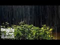불면증을 극복에 효과좋은 빗소리 – 수면 유도, 스트레스 완화, 감성 힐링에 좋은 자연 ASMR