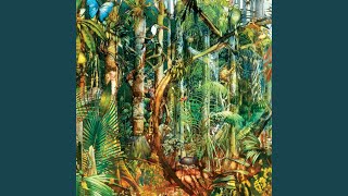 Forest Music (Anambra Na-Imo)