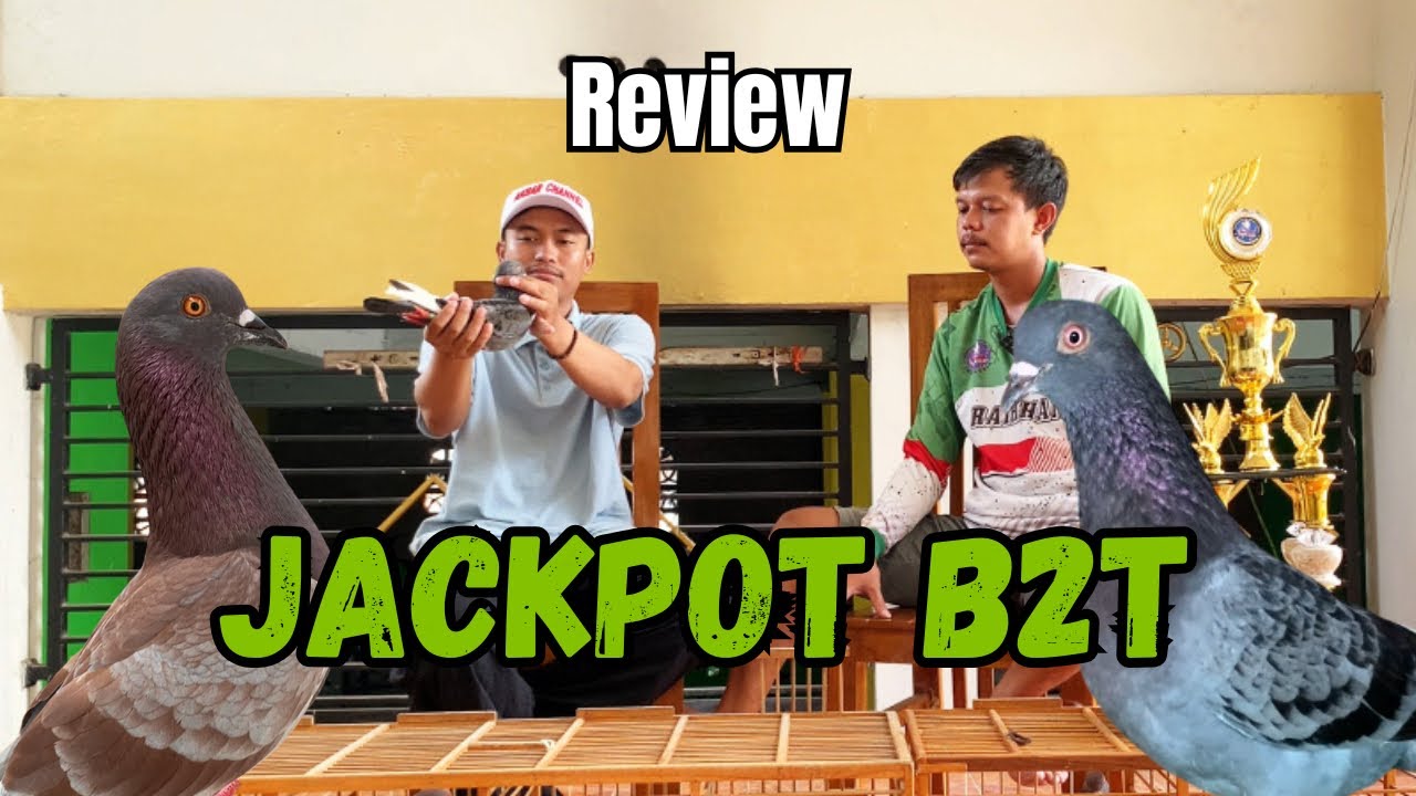 REVIEW JACKPOT B2T JAWARA UTAMA LIGA TASIK BERSATU || LOSSSSNYE ISTIMEWA BOSKUH‼️