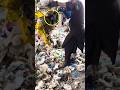 "¡De BASURA a MANGUERA en segundos! ♻️ #Reciclaje #Ingenieria