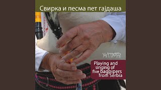 Sitan svrljiški čačak / Sitan Svrljig Čačak