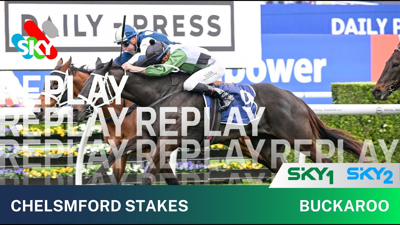 BUCAROO ВЫИГРЫВАЕТ CHELMSFORD STAKES 2024 ПО ФОТОФИНИШУ