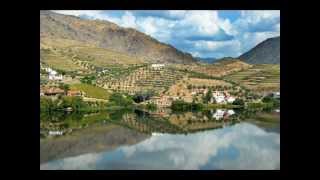 PORTO EM FOTOGRAFIA - VINHO DO PORTO - O VALE DO DOURO