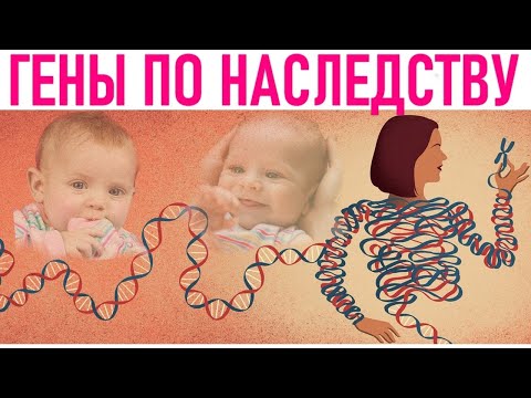 Видео: Какая генетика передается по наследству?