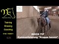 Quick Tip: Gymnastizierung "Kruppe herein" - von Lars Nebel - Nebel Performance Horses