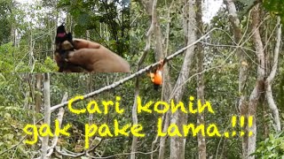 SENSASI MIKAT BURCIL DI HUTAN KALIMANTAN Eps.1 POIN KONIN, SEPAH RAJA, MANTENAN, PIJANTUNG DLL.