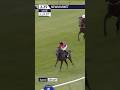 Horse named and bred by King Charles looks exciting 👀