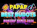 TIKTOK MASHUP NONSTOP REMIX 2024🎶TRENDING TIKTOK VIRAL 2024🍀PAPAP DOL