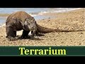 Комодский варан (лат. Varanus komodoensis)