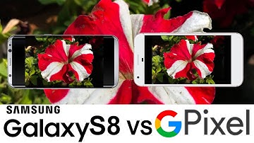Samsung Galaxy S8 Vs Google Pixel Camera Test