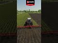 Massey ferguson 3670 plowing up sugar beets