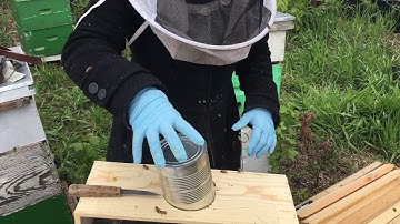 Installing a Package of Bees into a Top Bar Hive