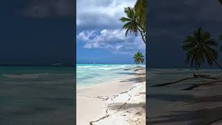 Playa del Gato Beach, Saona Island, Dominican Republic 🏝🥰 #shorts #travel #beach