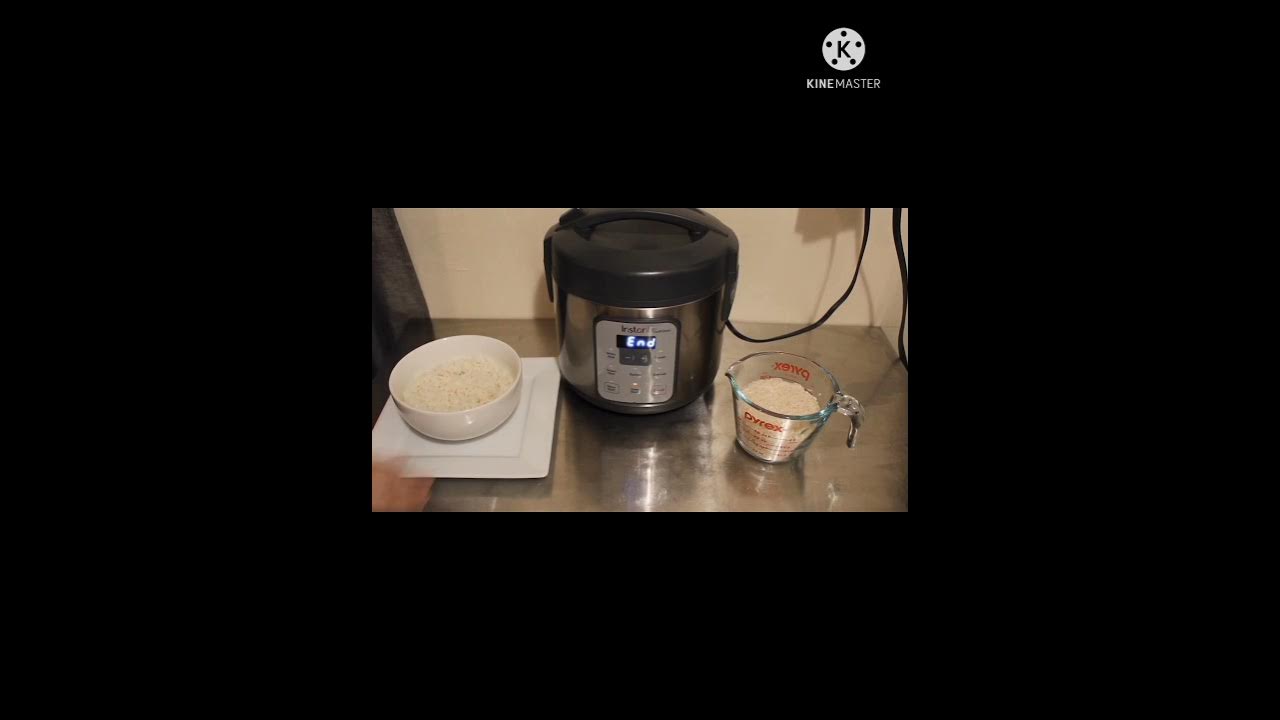 White Rice INSTANT ZEST RICE AND GRAIN COOKER YouTube