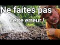 Les 5 erreurs qui peuvent ruiner votre potager