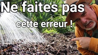 Les 5 erreurs qui peuvent ruiner votre potager.