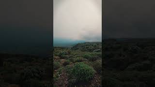 #hiking #solitude #nature #vlog #silentvlog #ambient