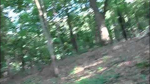 Sasquatch Research #20: A Possible Foot Print & More Tree Formations