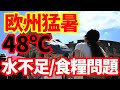 【欧州経済】猛暑！イタリアで48℃を記録！スペインでは森林火災！ドイツではライン川水位低下
