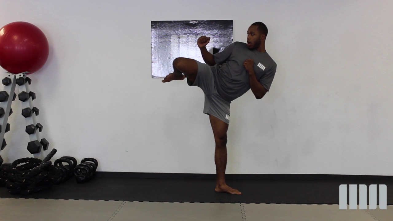 Martial Arts Front Kick & Round Kick YouTube