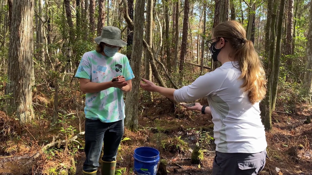 Wonderful Wetlands with the Wetlands Club at UCF