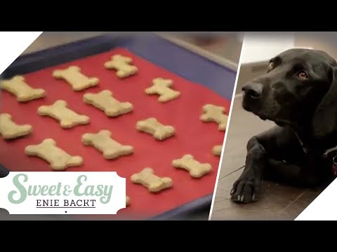Video: Gesundes Süßkartoffeltorten-Festlichkeits-Rezept für Hunde