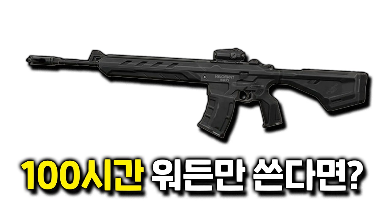 모두의 기대를 받고 출시했지만 아무도 안쓰는 워든, 100시간 동안 쓰면 어떻게될까?
