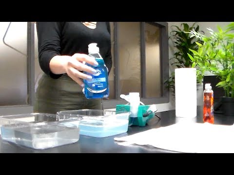 How to Clean