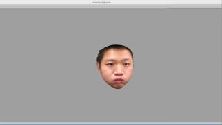 Celebrity Automatically created blend shapes from facial scans Profile
