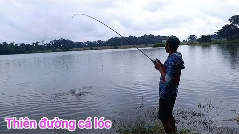 Câu cá lóc_Hành trình săn hàng Hugo (p44)@Hữunghị tv