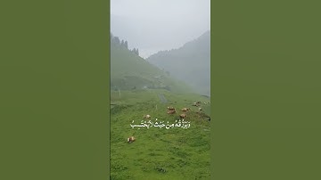 القارئ الشيخ ماهر المعيقلي | ومن يتق الله يجعل لهُ مخرجا
