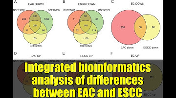 Integrated bioinformatics analysis of differences between EAC and ESCC