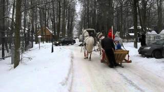 Дед Мороз и тройка лошалей