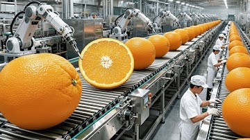 Inside Orange Harvest & Processing | From Orchard to Factory 🍊