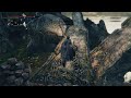 Bloodborne - Beating Amygdala