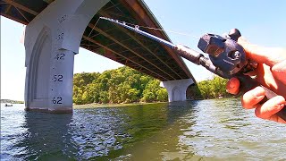 The Fish Were Stacked Under This Bridge!!