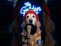 The Golden Pawcast 🎧🐾