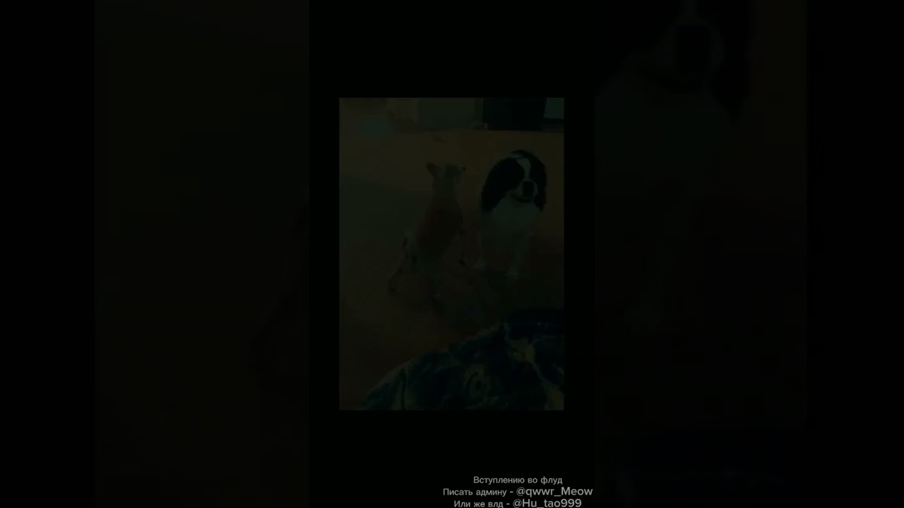 "Ты конечно,сразу в рай." 