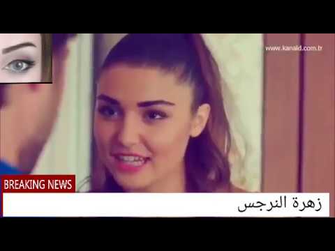 محمود التركي الجو حلو