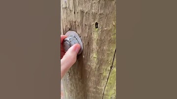 You’ll need a closer look to find THIS #geocache! 🔍 #shorts #GeoTok